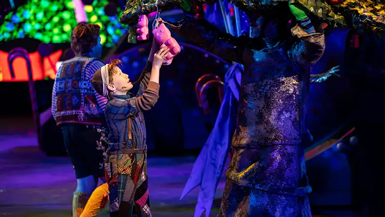 Charlie and the Chocolate Factory Cosume Rental